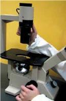 Microscope for identifying asbestos